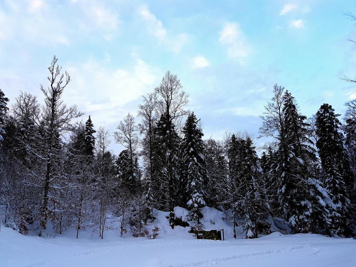 Auberge Refuge De Roybon Saint-Martin-en-Vercors Exterior photo